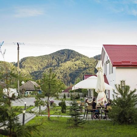 Pensiunea Lavanda, Piatra-Neamt Пьятра-Нямц Экстерьер фото